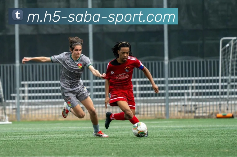 沙巴体育APP 封面图